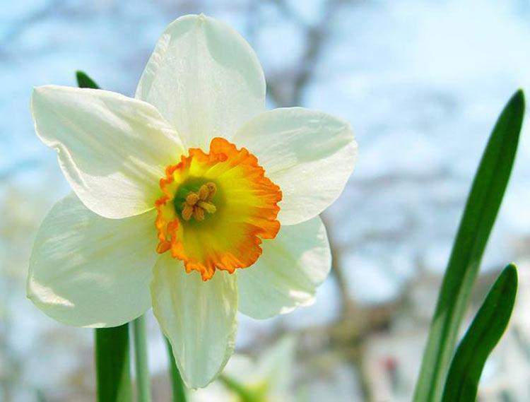 Attachment photo_2016-11-25_11-08-06.jpg